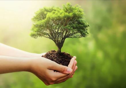 ASPECTOS E IMPACTOS AMBIENTALES 